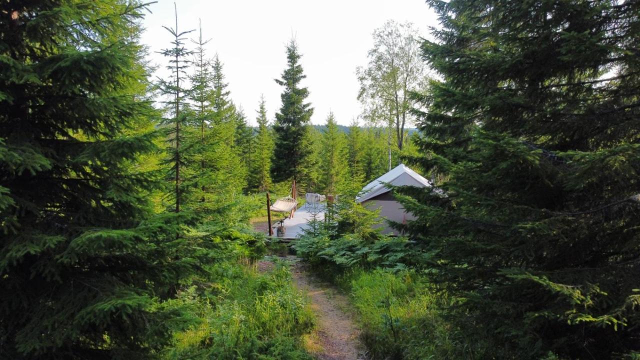 Glamping Tent With Amazing View In The Forest Torsby Zewnętrze zdjęcie