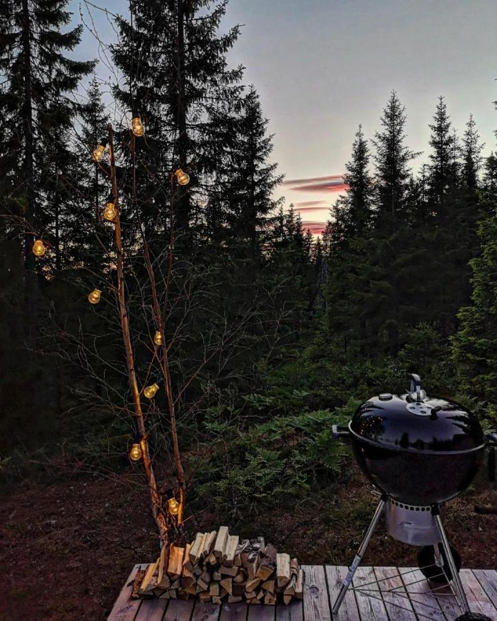 Glamping Tent With Amazing View In The Forest Torsby Zewnętrze zdjęcie
