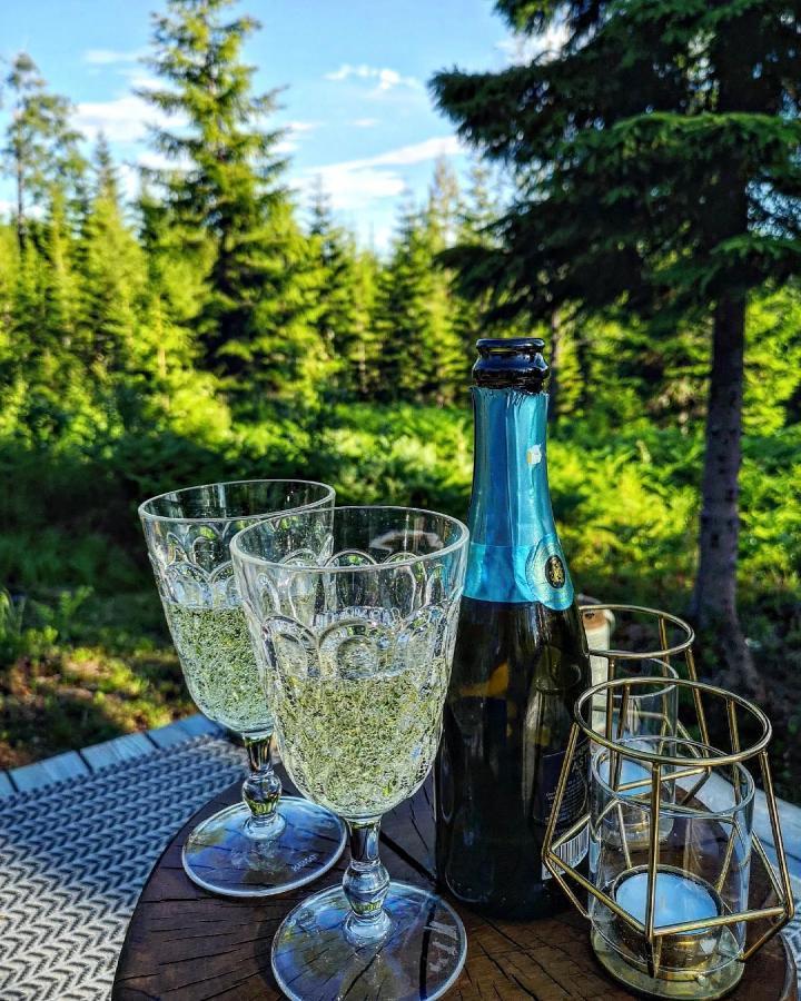 Glamping Tent With Amazing View In The Forest Torsby Zewnętrze zdjęcie