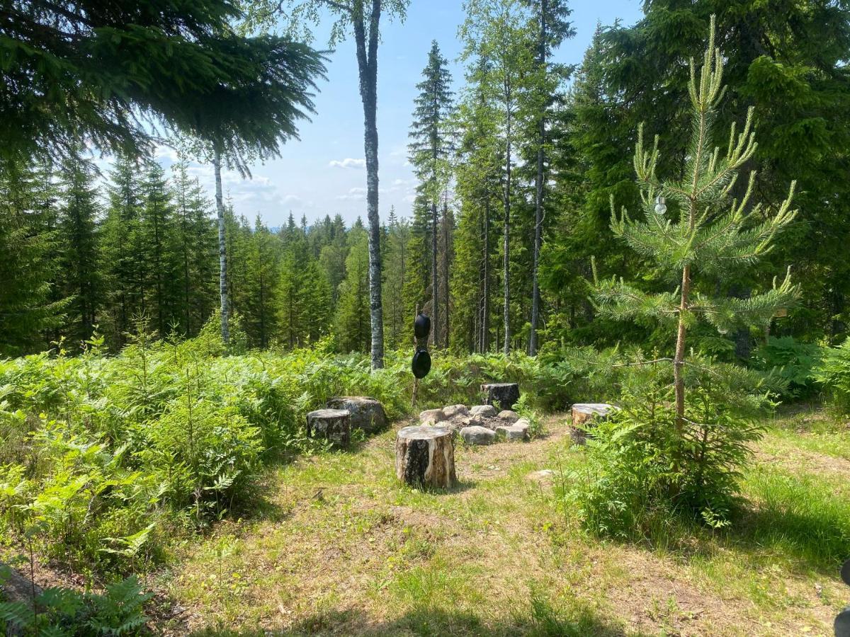 Glamping Tent With Amazing View In The Forest Torsby Zewnętrze zdjęcie