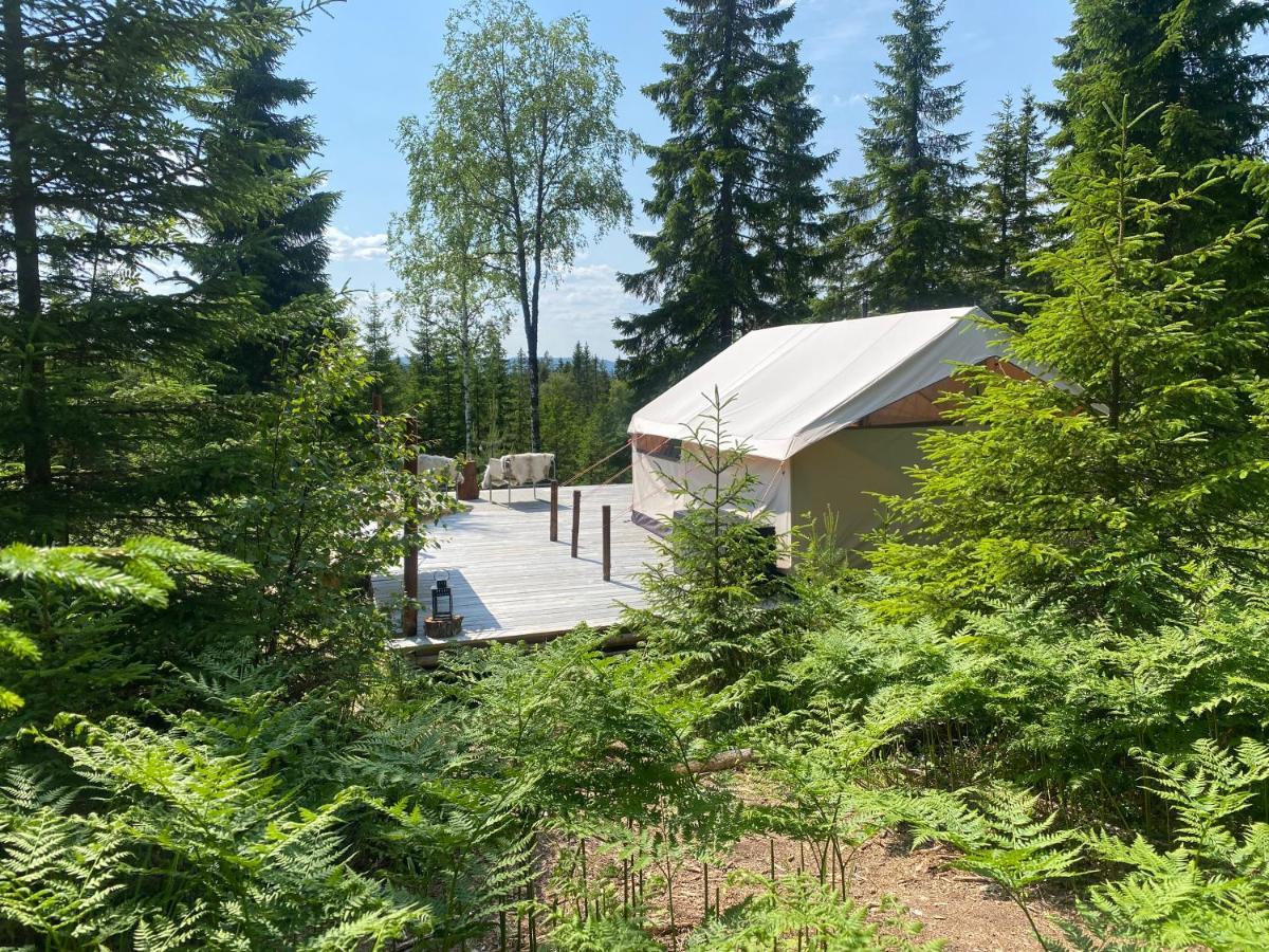 Glamping Tent With Amazing View In The Forest Torsby Zewnętrze zdjęcie