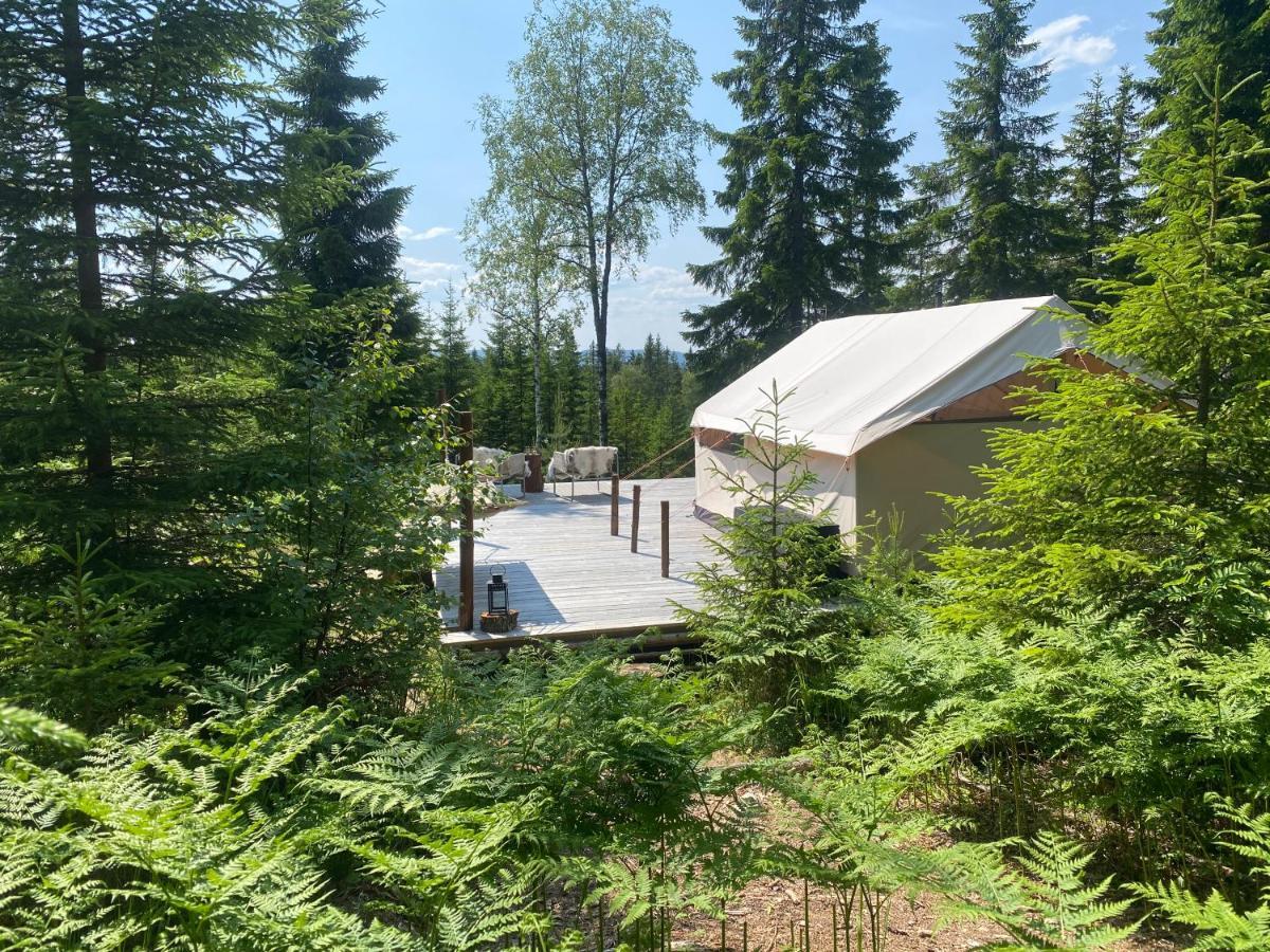 Glamping Tent With Amazing View In The Forest Torsby Zewnętrze zdjęcie